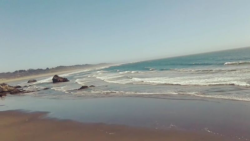 Redwood National And State Parks Begin Just Minutes Away