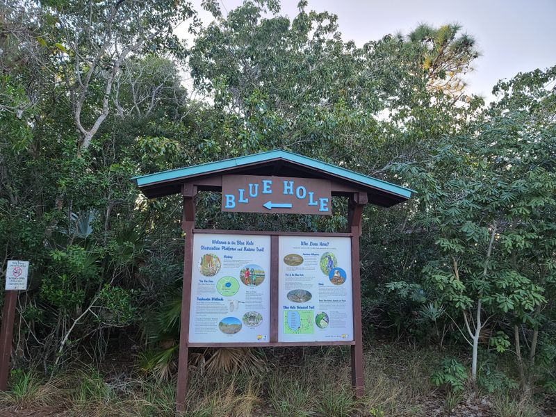 Blue Hole Observation Platform