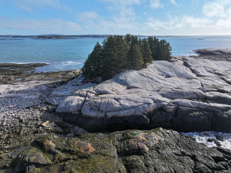 Great Wass Island Preserve