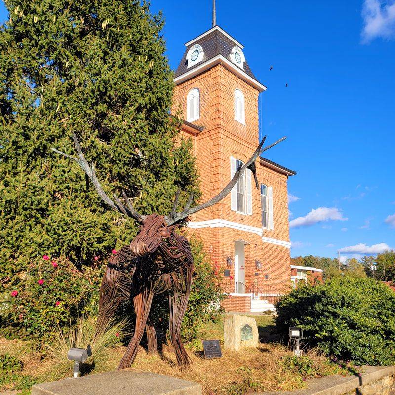 Cafes That Understand A Morning