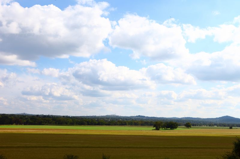 A Laid-Back Food Scene Rooted In Local Ingredients