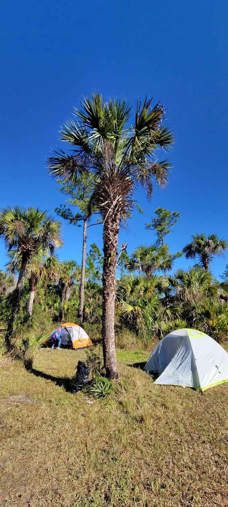 Bear Island Campground