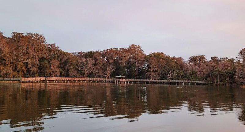 Palm Island Park Offers Nature Trails Steps From The Shops
