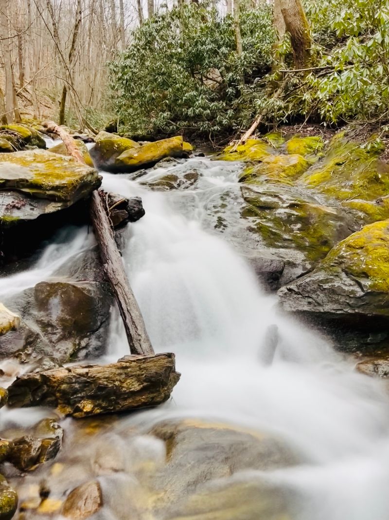 Elk Pen To Big Ivy Trail (Barnardsville)