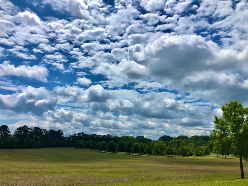 A Perfect Blend of Rural Peace and Coastal Proximity