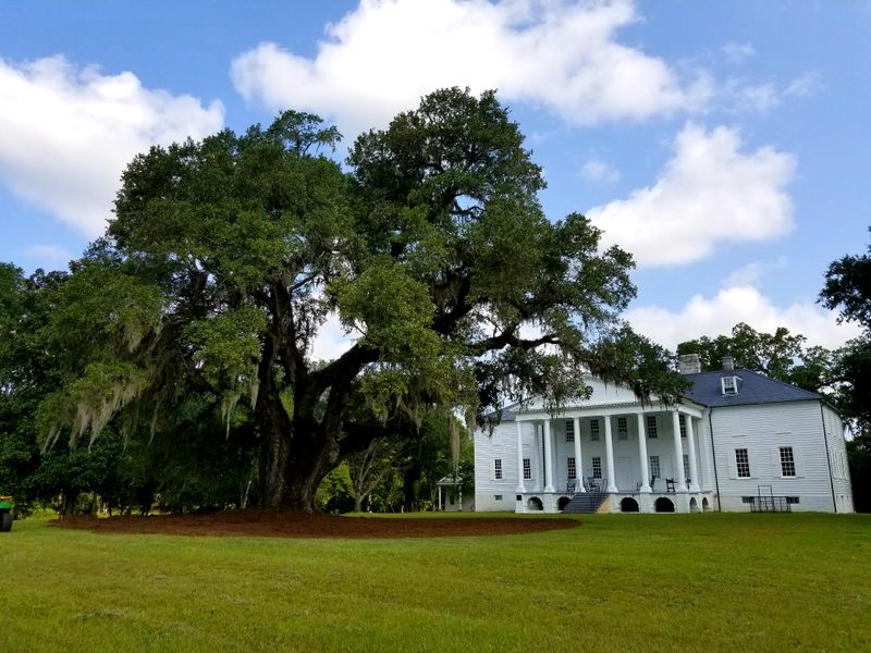 Hampton Plantation State Historic Site (McClellanville Area)