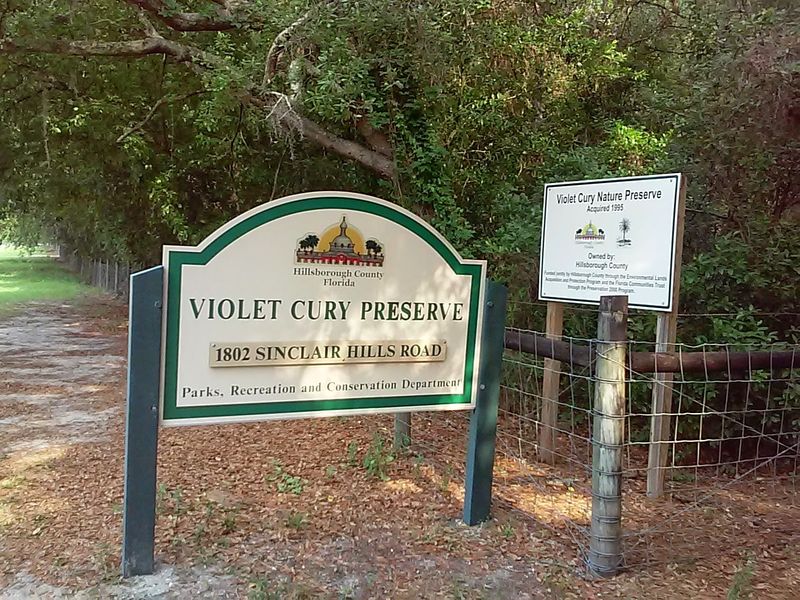 Violet Cury Nature Preserve (Lutz)
