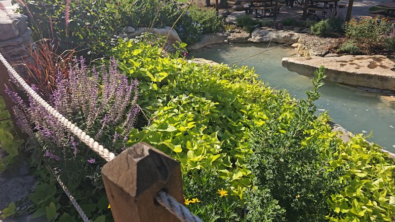 Natural Bridge Caverns (Near San Antonio)