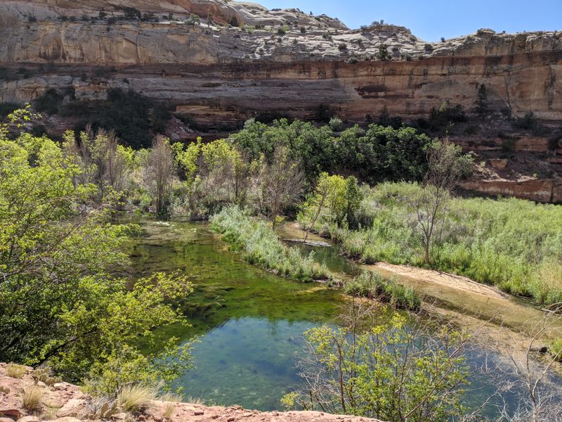 The Hidden Oasis: Exploring Escalante's Hot Springs
