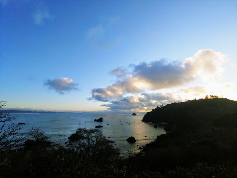 Wildlife Sightings Are Part Of Everyday Life