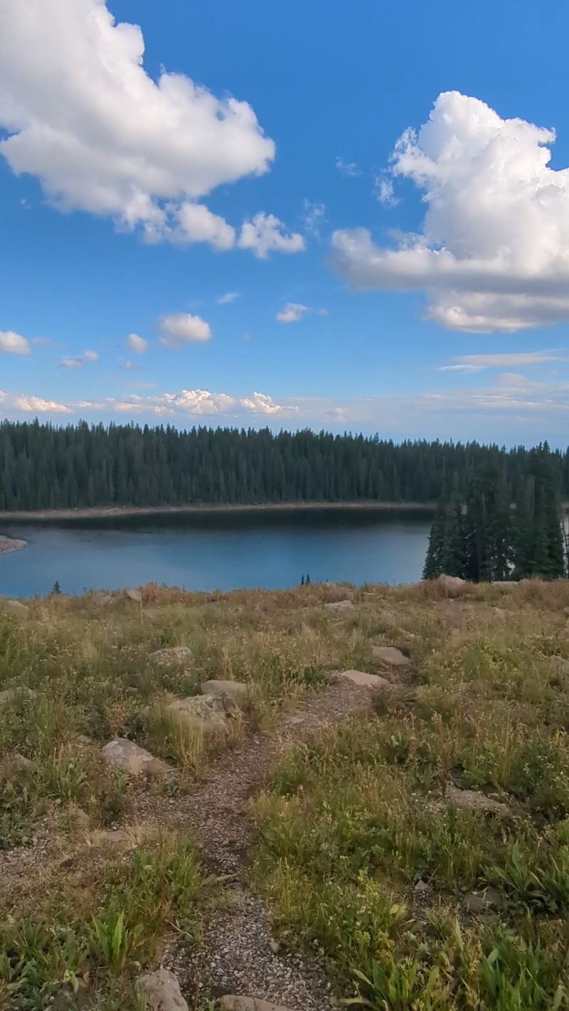 Grand Mesa Scenic Byway