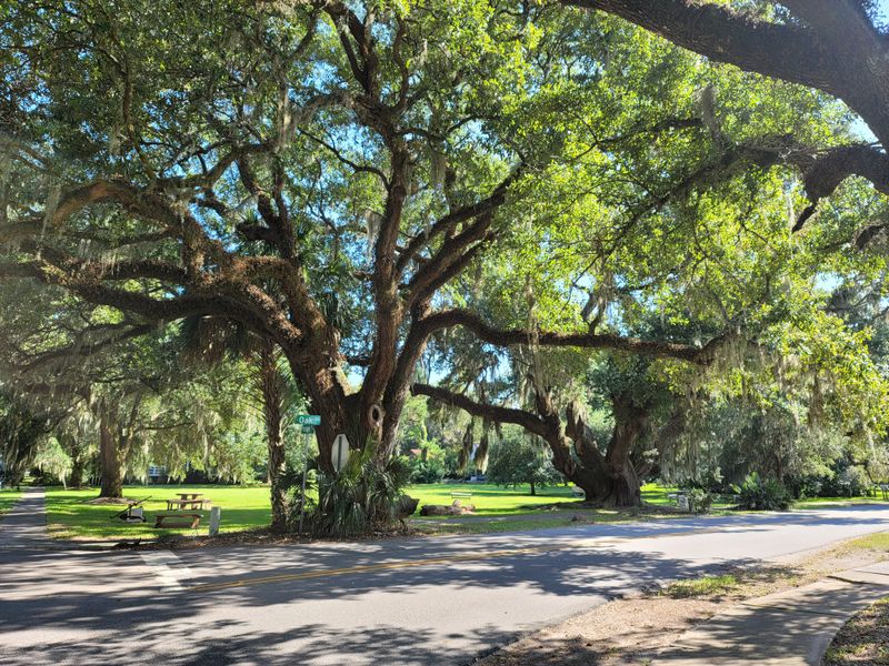 Respect The Town: Visit Gently, Leave No Trace