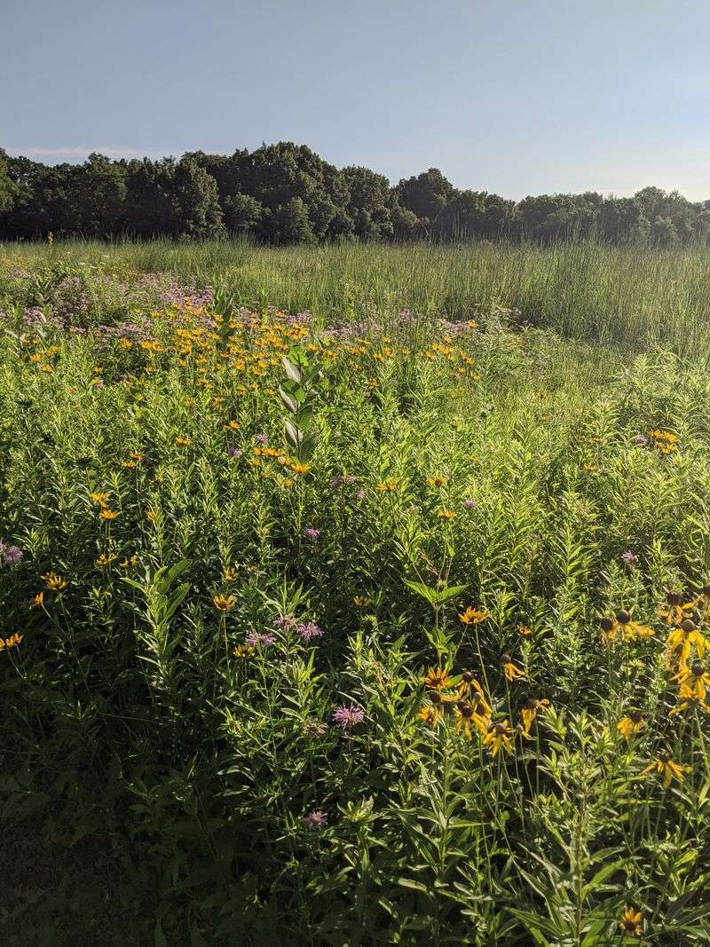 Oakdale Nature Preserve Park (Freeport)
