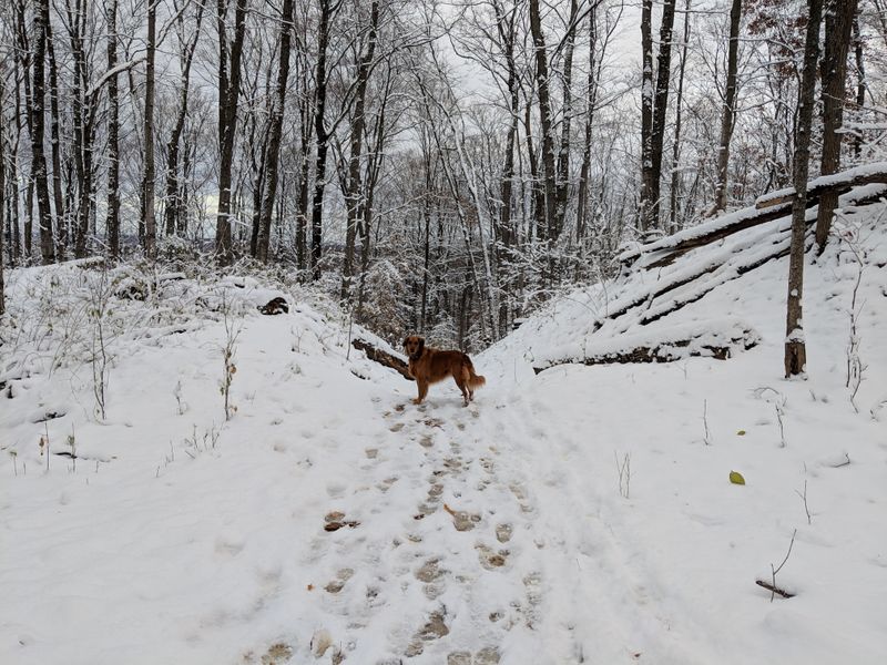 Ice Fishing And Frozen Lake Traditions Bring Out True Northern Spirit