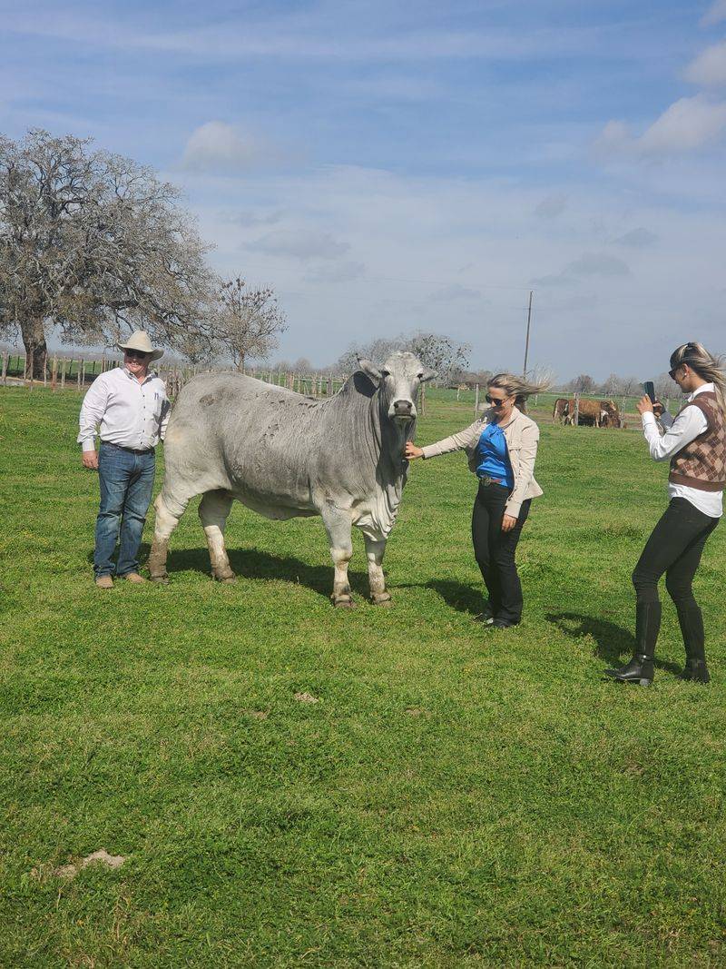 BRC Ranch Tours (Wharton County)