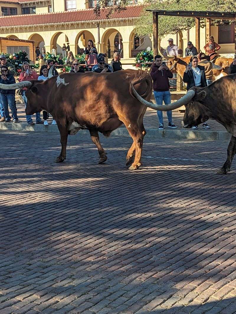 Fort Worth Stockyards & Cowtown Coliseum (Fort Worth)