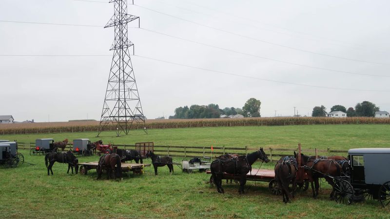 Whoopie-Pie Mornings: Bakery Runs That Become Traditions