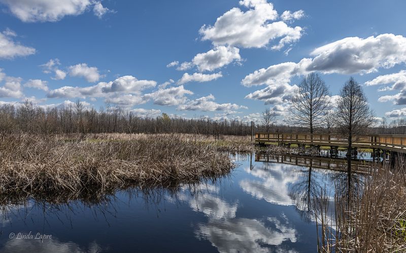 Barkhausen–Cache River Wetlands Center