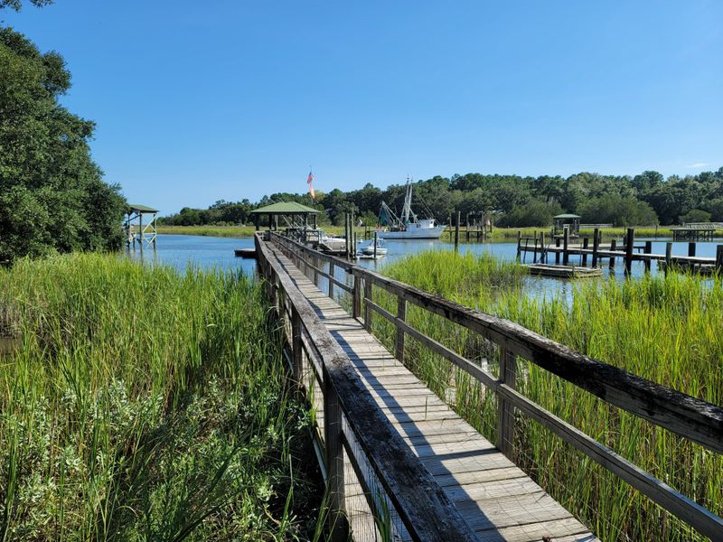 Bulls Island: Ferry In, Crowds Out