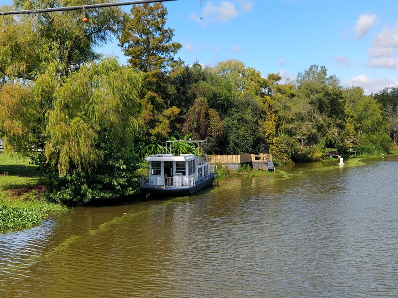 Henderson Lake: A Man-Made Swamp That Looks Like Nature