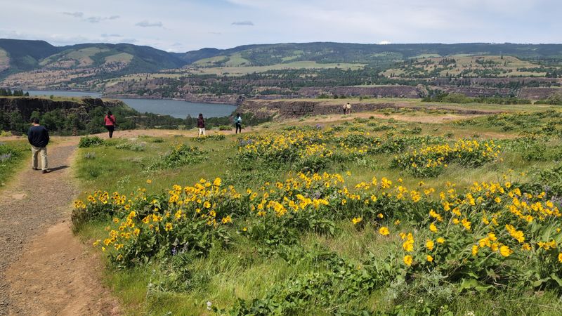 Tom McCall Preserve (Rowena Plateau)