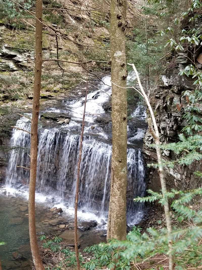 Suter Falls