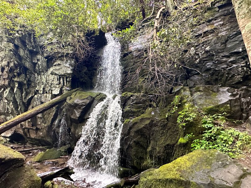 Baskins Creek Falls (Roaring Fork Near Gatlinburg)