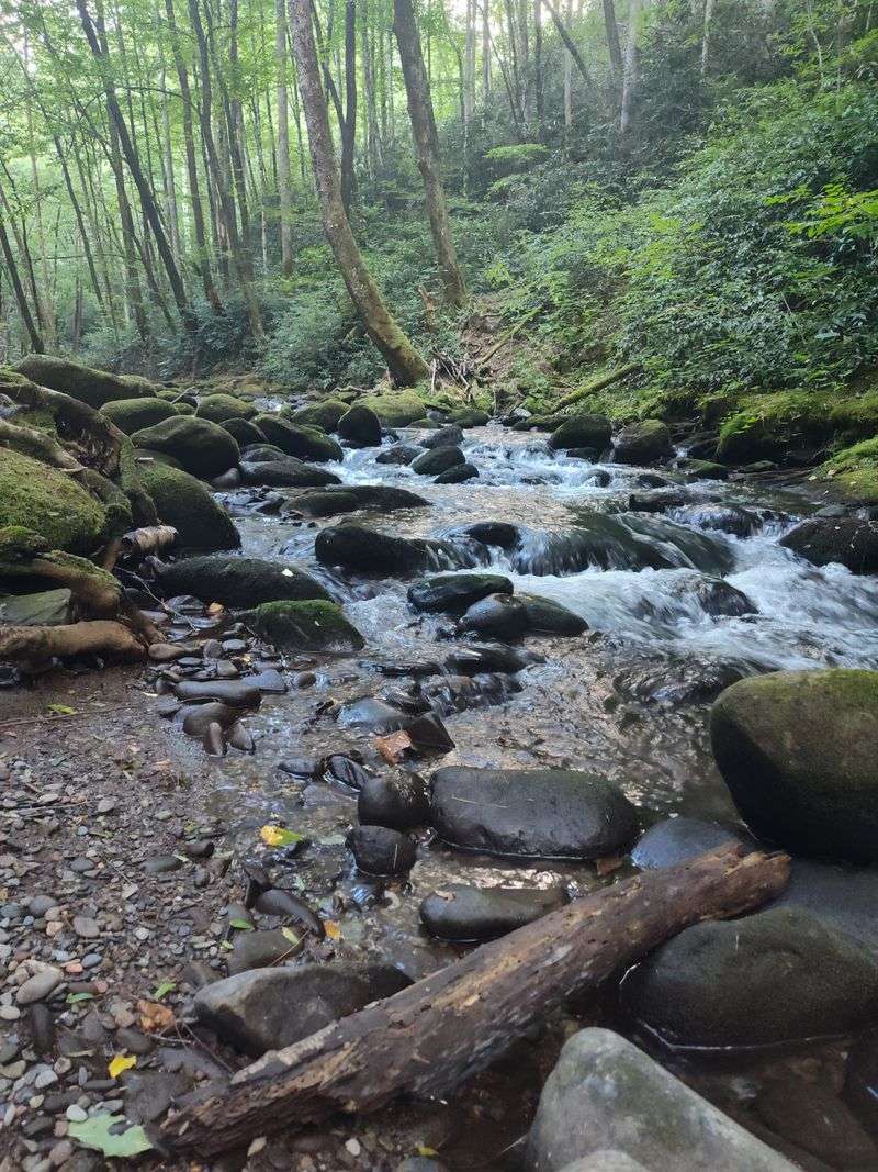 Little River Trail (Elkmont Near Gatlinburg)
