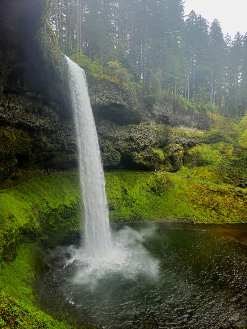 Silver Falls Scenic Byway