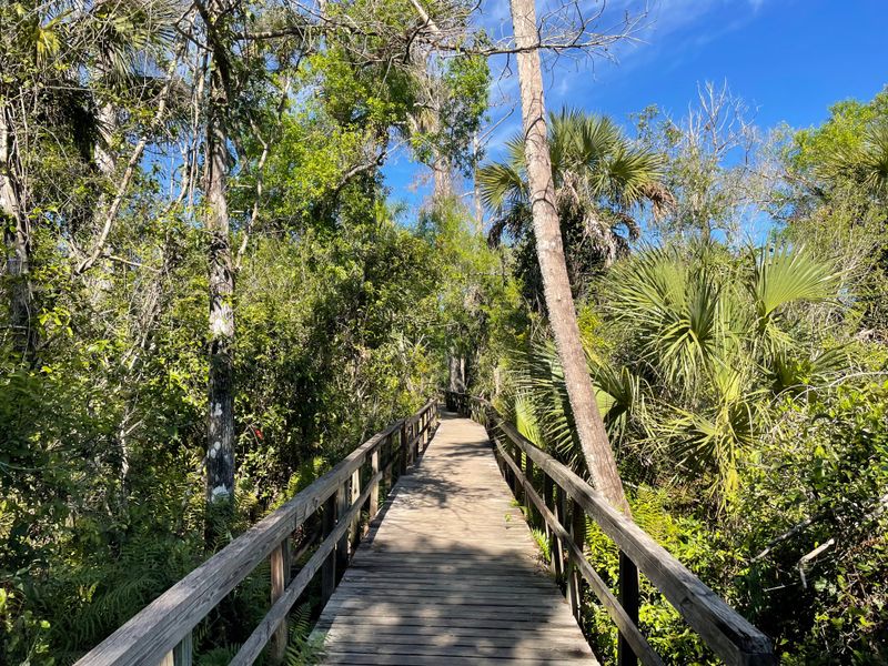 Big Cypress Bend Boardwalk (Copeland/Everglades Area)