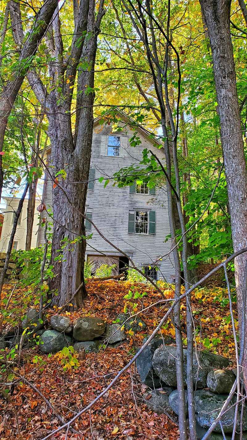 Seasonal Rhythms And Quiet Traditions