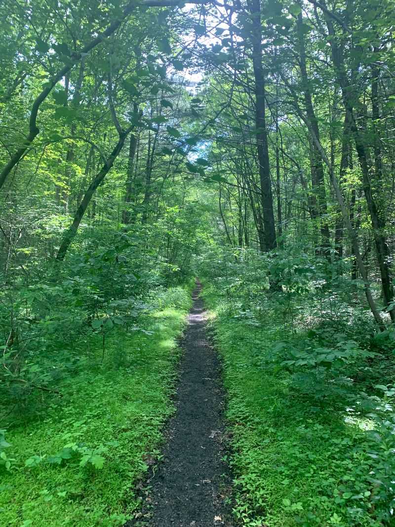 Calm Appalachian Trail Haven for Passing Hikers