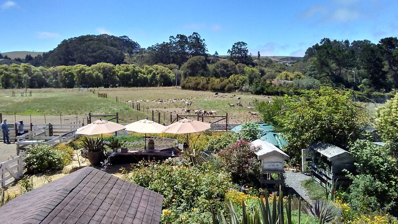 A Place Better Known For Dairy Farms Than Beach Resorts