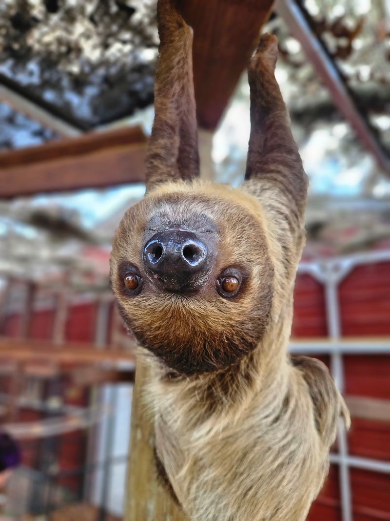 Visits Are By Appointment Only — And That's Intentional