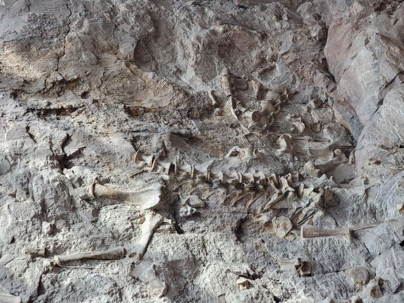 Dinosaur National Monument