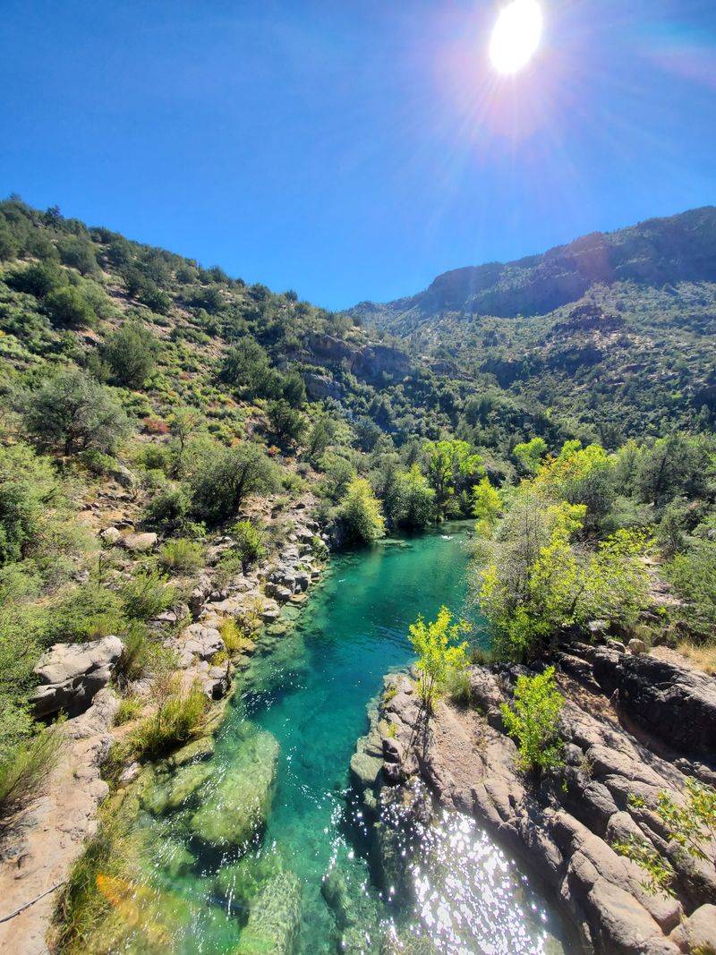 The Riparian Paradise: Lush Greenery And Wildlife Along Fossil Creek