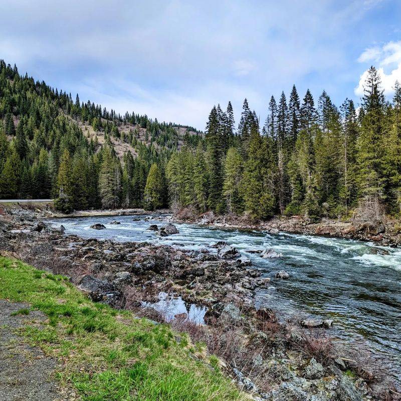Nez Perce National Forest