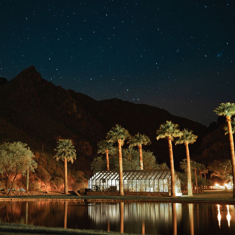 Farm-To-Table Dining