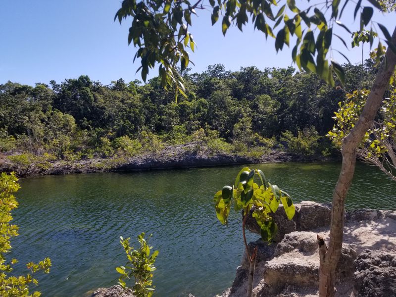 Lignumvitae Key And The Shade That Waits