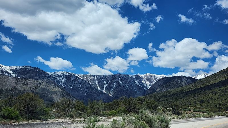 Spring Mountains National Recreation Area
