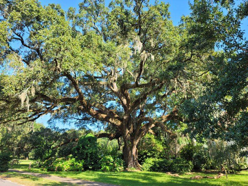 Birdwatching That Feels Like Meditation
