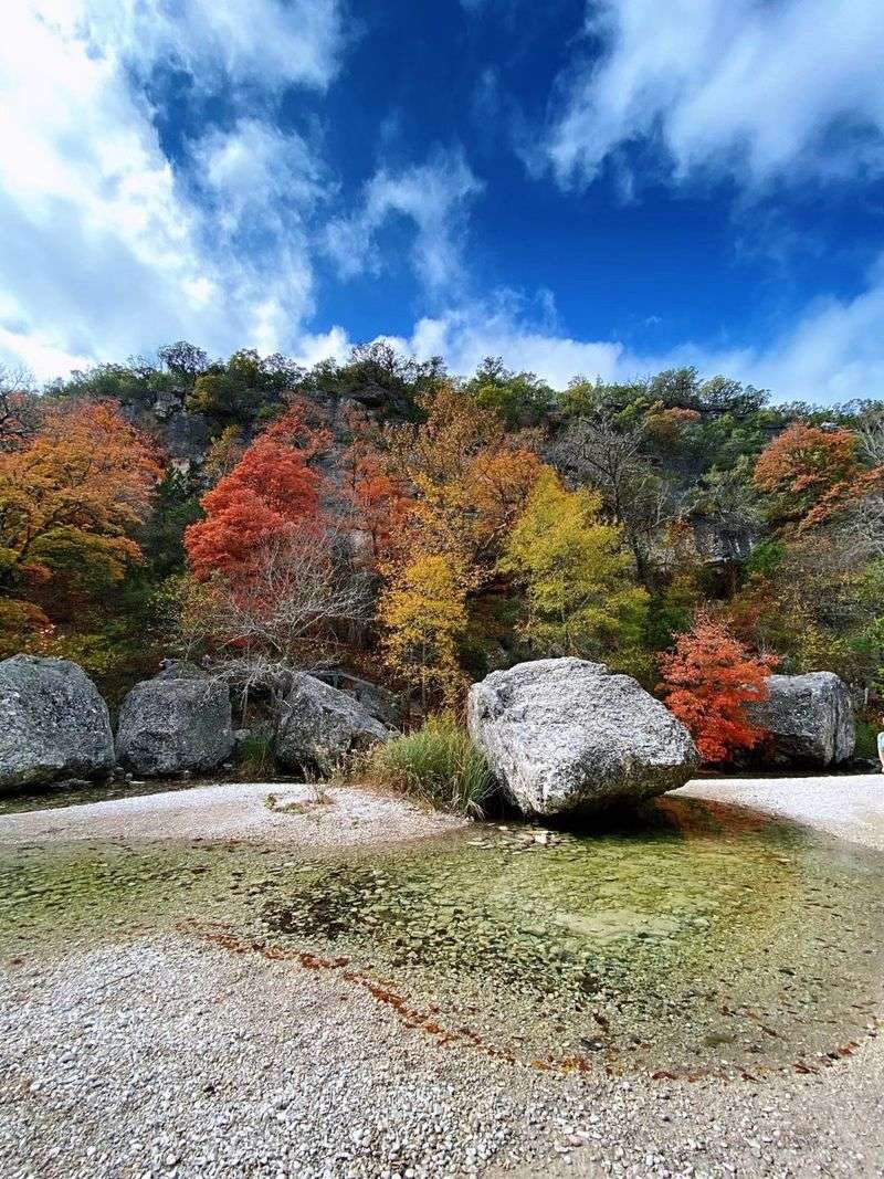 Lost Maples State Natural Area
