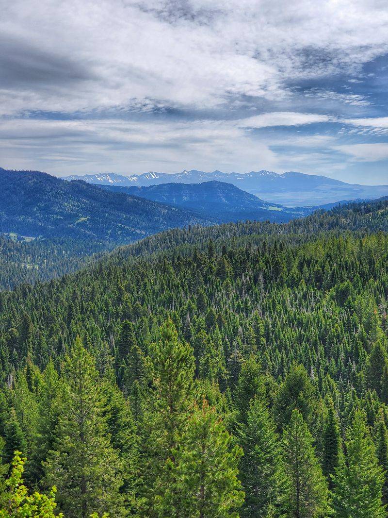 South Fork Brackett Creek Dispersed Site (Gallatin National Forest)