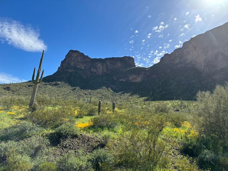 Picacho Peak State Park