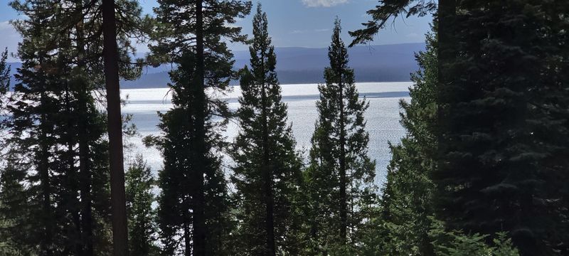 The Lake Almanor Recreation Trail Runs Along The Water