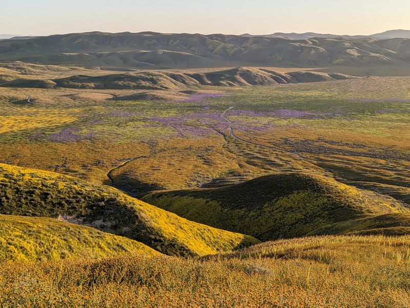 Carrizo Plain National Monument