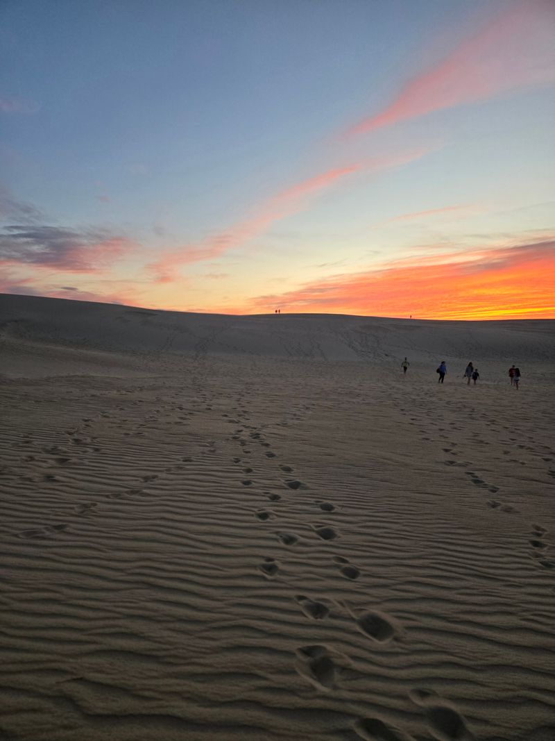 Jockey's Ridge Dune Summit