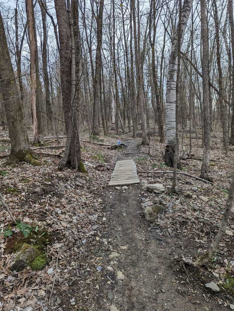 Seasonal Mud Season Requires Trail Closures Tourists Ignore