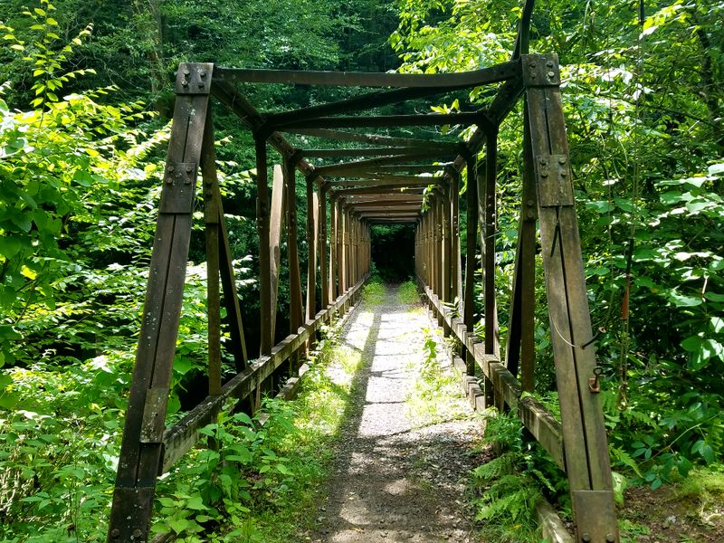 Enloe Creek Trail (Cherokee)