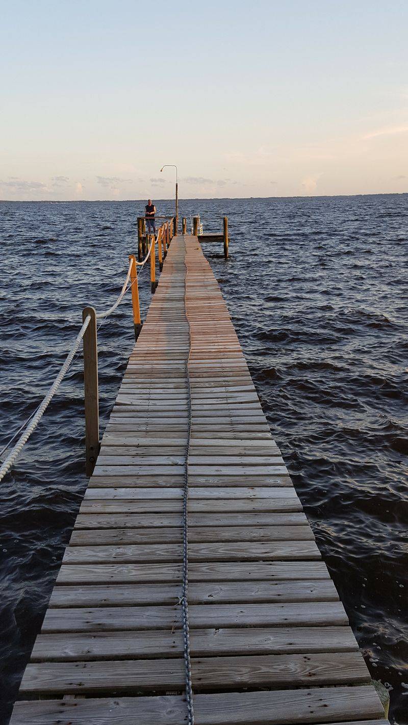 A Bird-Watcher's Haven On The Coastal Flyway